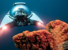 U-Boat Worx Nemo Series